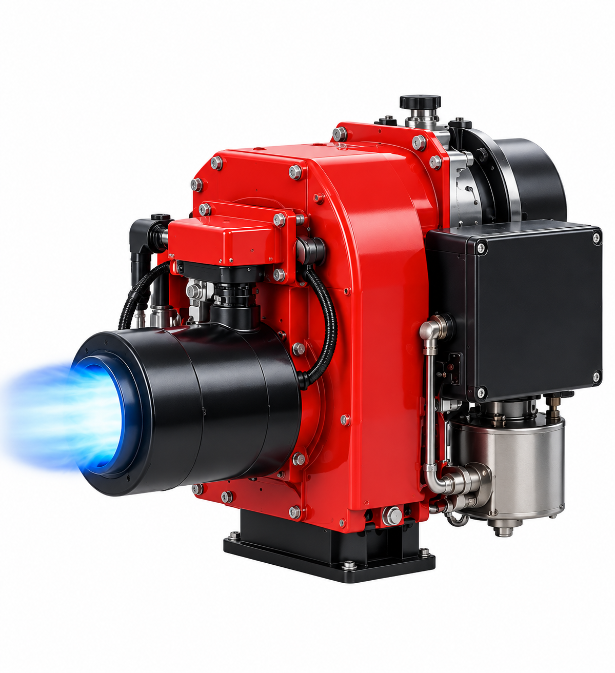 Biomass burner system